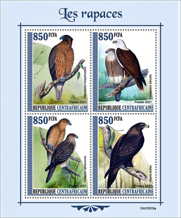 Birds