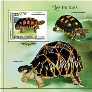 Souvenir Sheet, Chelonoidis denticulata, Central African Republic,  , Reptiles, Turtles