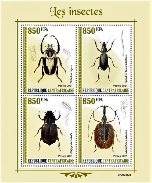 Insects