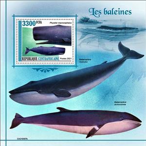 Souvenir Sheet, Physeter macrocephalus, Central African Republic,  , Sea Life, Whales