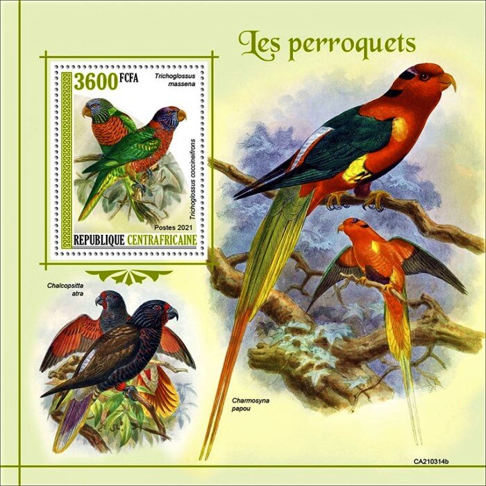 Trichoglossus massena