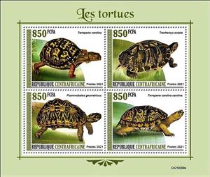 Mini Sheet, Turtles, Central African Republic,  , Reptiles, Turtles