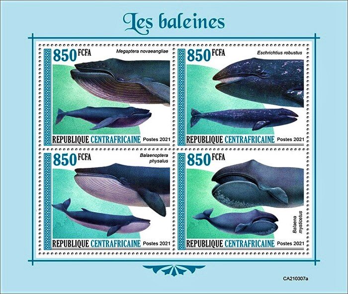 Whales