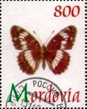 Butterfliy
