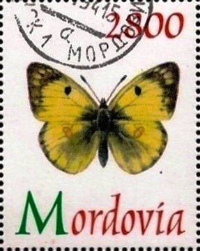 Butterfliy