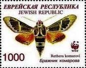 Moth