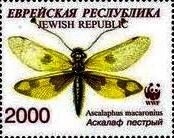 Moth