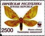 Moth