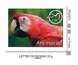 Ara Macao