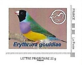 Stamp, Erythrura gouldiae, Personalized and Private Mail Stamps,  , Animals (Fauna), Birds
