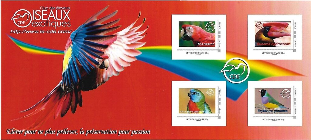 Exotic Birds Club CDE