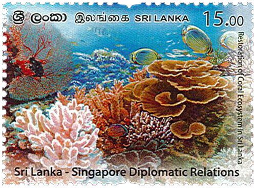 Coral Reef, Sri Lanka