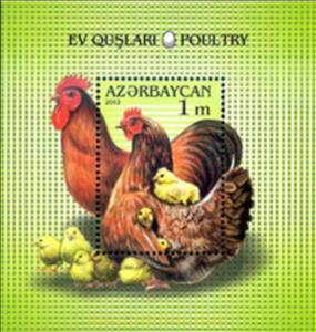Souvenir Sheet, Hen with Chick (Gallus gallus domesticus), Azerbaijan,  , Animals (Fauna), Birds, Poultry, Roosters and Chickens