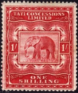 African bush elephant (Loxodonta africana)
