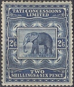 African bush elephant (Loxodonta africana)