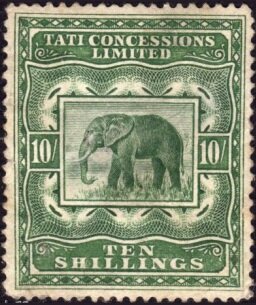 African bush elephant (Loxodonta africana)