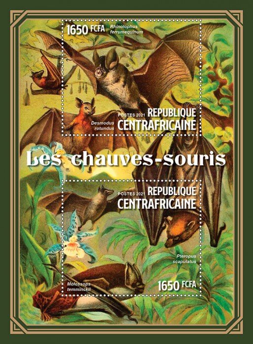 Various Bats