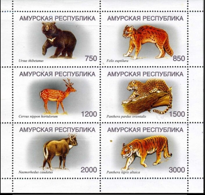 Animals