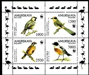 Bird