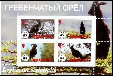 Mini Sheet, Birds, Cinderellas,  , Animals (Fauna), Birds