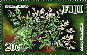 Stamp, Acmopyle sahniana, Fiji,  