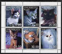 Cats