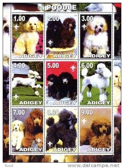 Dogs