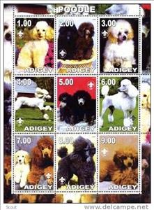 Mini Sheet, Dogs, Cinderellas,  , Animals (Fauna), Dogs, Mammals
