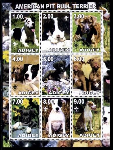 Dogs