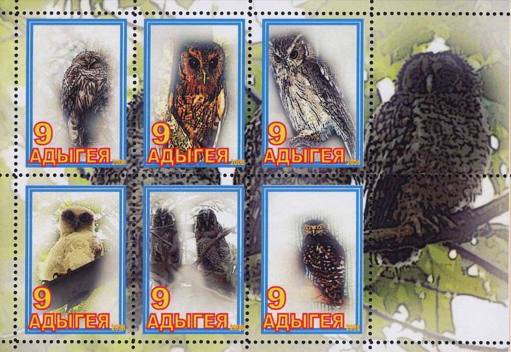 Owls