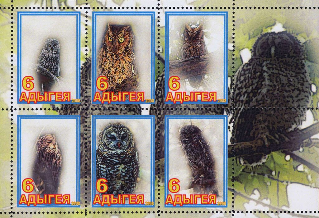 Owls