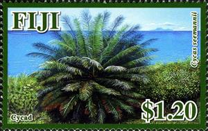 Stamp, Cycas seemannii, Fiji,  