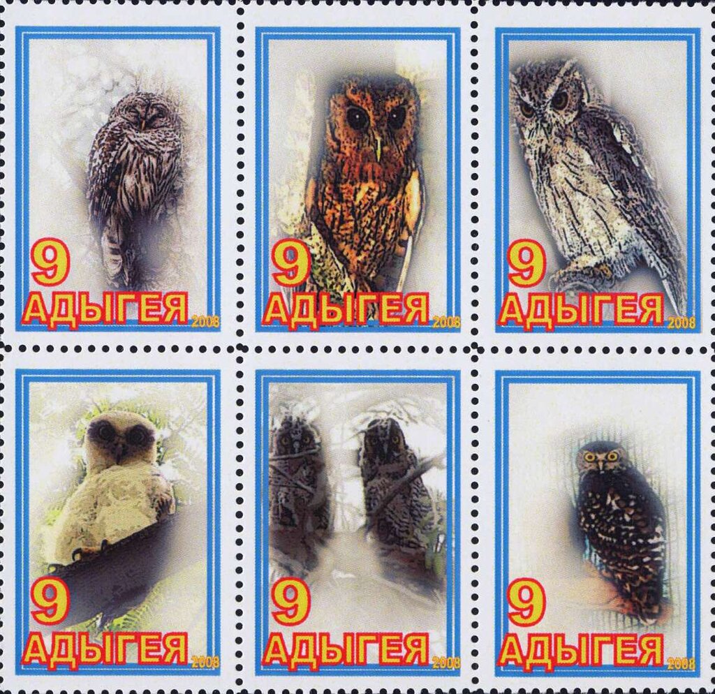 Owls