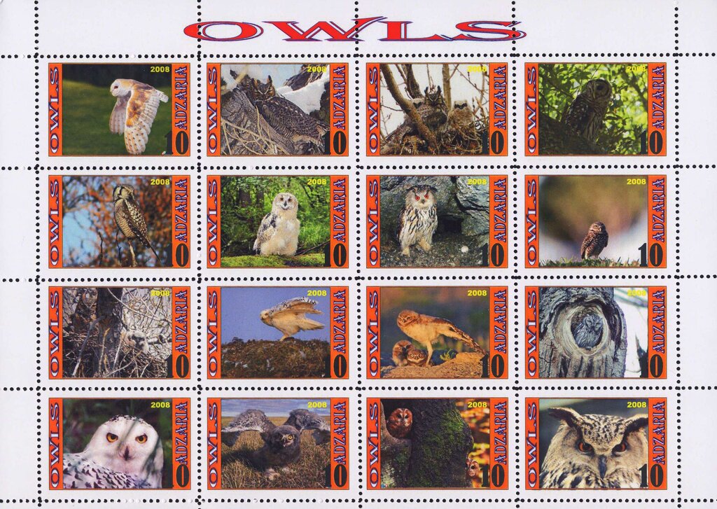 Owls