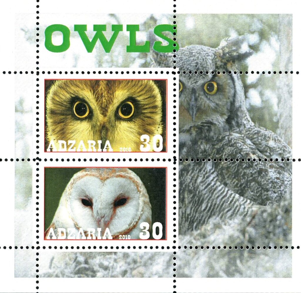 Owls