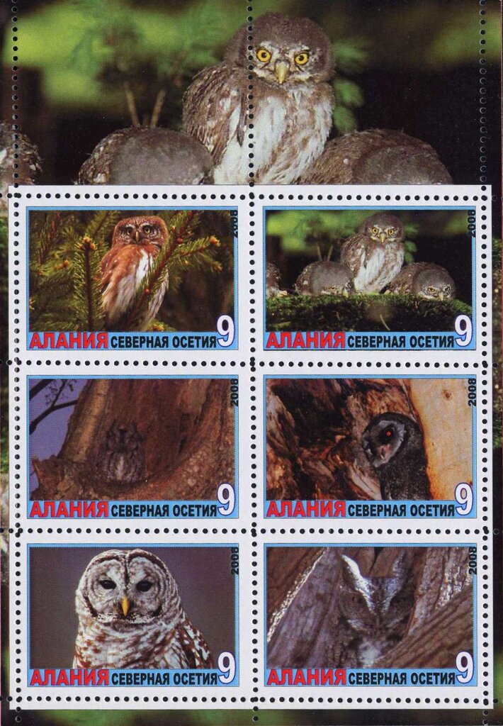Owls