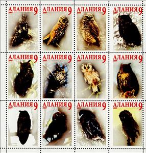 Mini Sheet, Owls, Cinderellas,  , Animals (Fauna), Birds, Owls