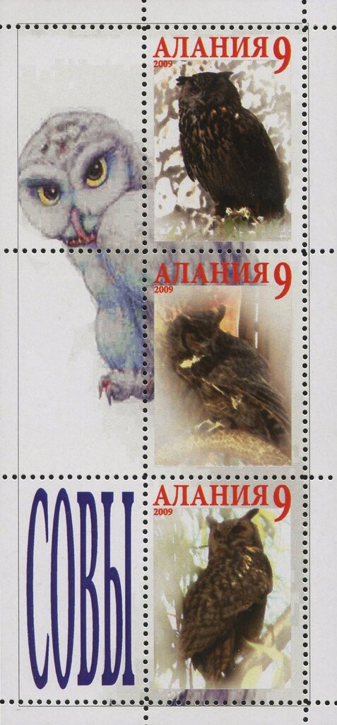 Owls
