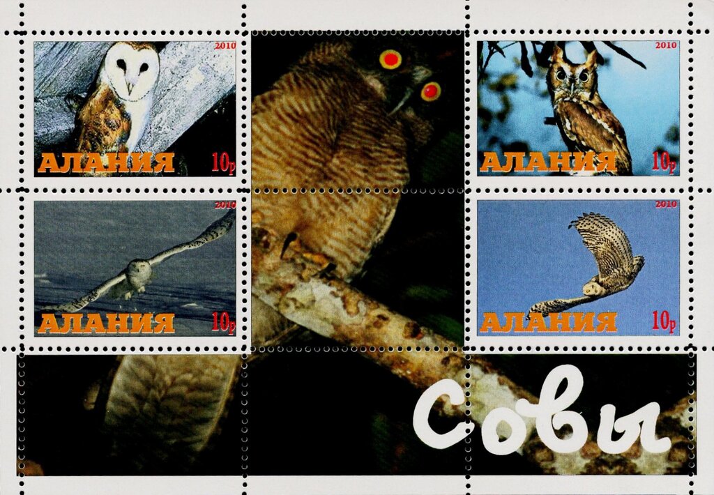 Owls