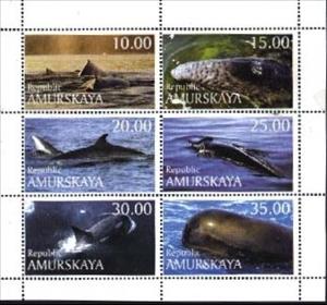 Mini Sheet, Whales, Cinderellas,  , Animals (Fauna), Mammals, Whales