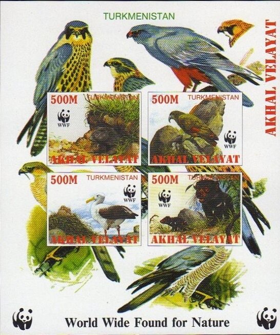 Wwf