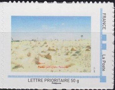 Petrified Dunes