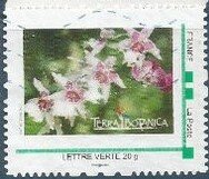 Stamp, Terre Tropicana. Orchid, Personalized and Private Mail Stamps,  , Flowers, Orchids