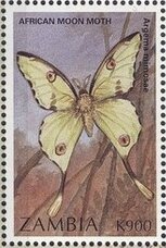 Stamp, Argema mimosae, Zambia,  , Animals (Fauna), Butterflies, Insects