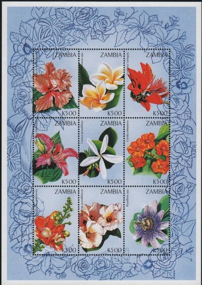 Flower 1998