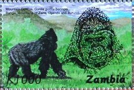 Gorilla gorilla