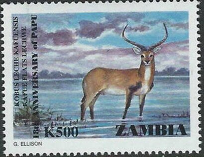 Kobus leche kafuensis