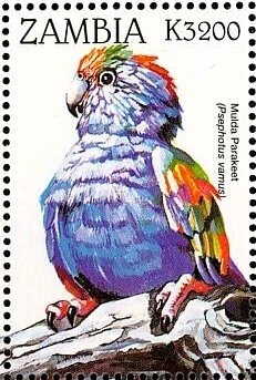 Stamp, Mulga Parrot (Psephotellus varius), Zambia,  , Animals (Fauna), Birds, Parrots