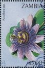 Stamp, Passiflora sp., Zambia,  , Flowers, Plants (Flora)