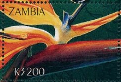 Stamp, Strelitzia reginae, Zambia,  , Flowers, Plants (Flora)